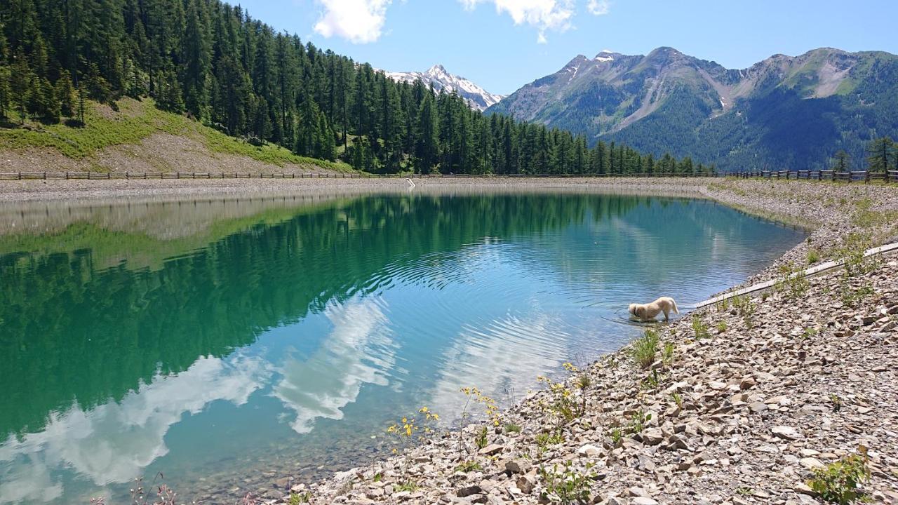 Studio Le Boussolenc Les Orres Dış mekan fotoğraf